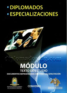 correo: informes@diplomadosidg.com Diplomados convenio Universidades UNICA UNASAM ICG