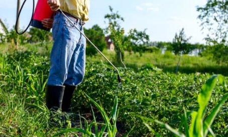 Curso de Especialización Diplomado>